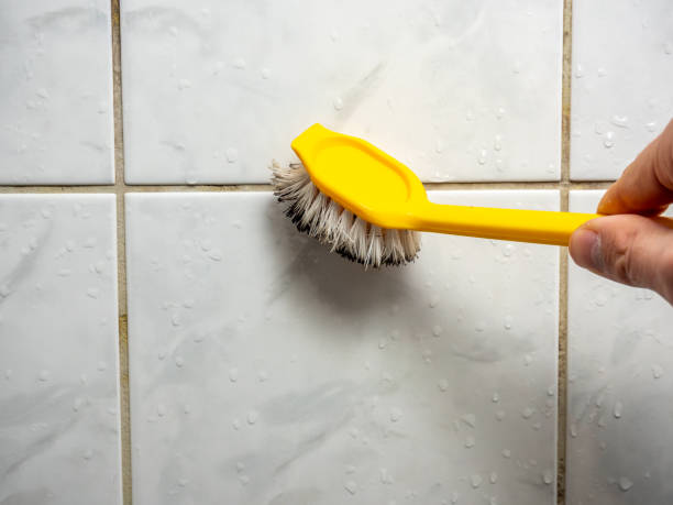 Best Fast Mold Removal  in Isla Vista, CA