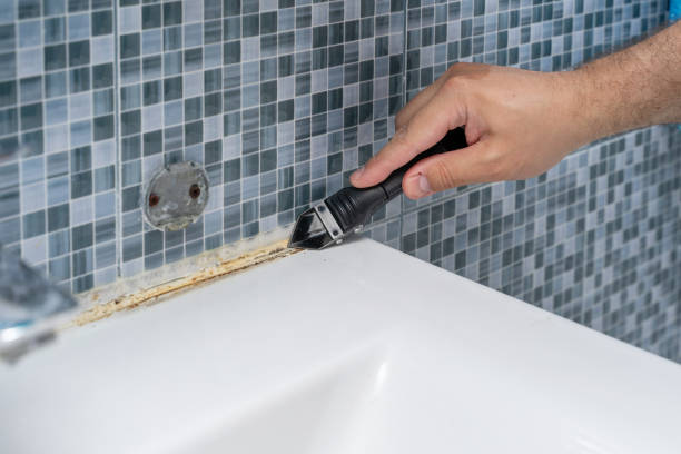 Best Mold Testing  in Isla Vista, CA