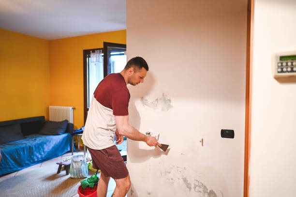 Best Office Mold Removal Services  in Isla Vista, CA
